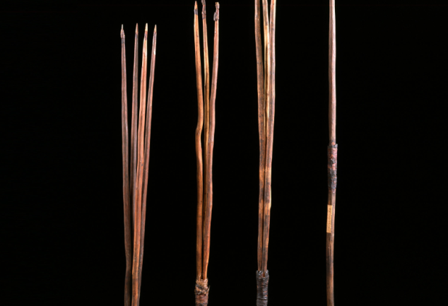 Captain Cooks Aboriginal spears