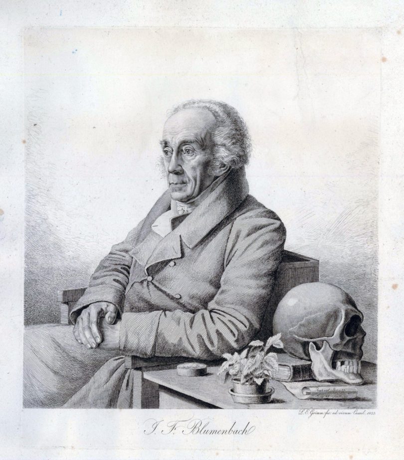 Johann Blumenbach (1752 1840) Large