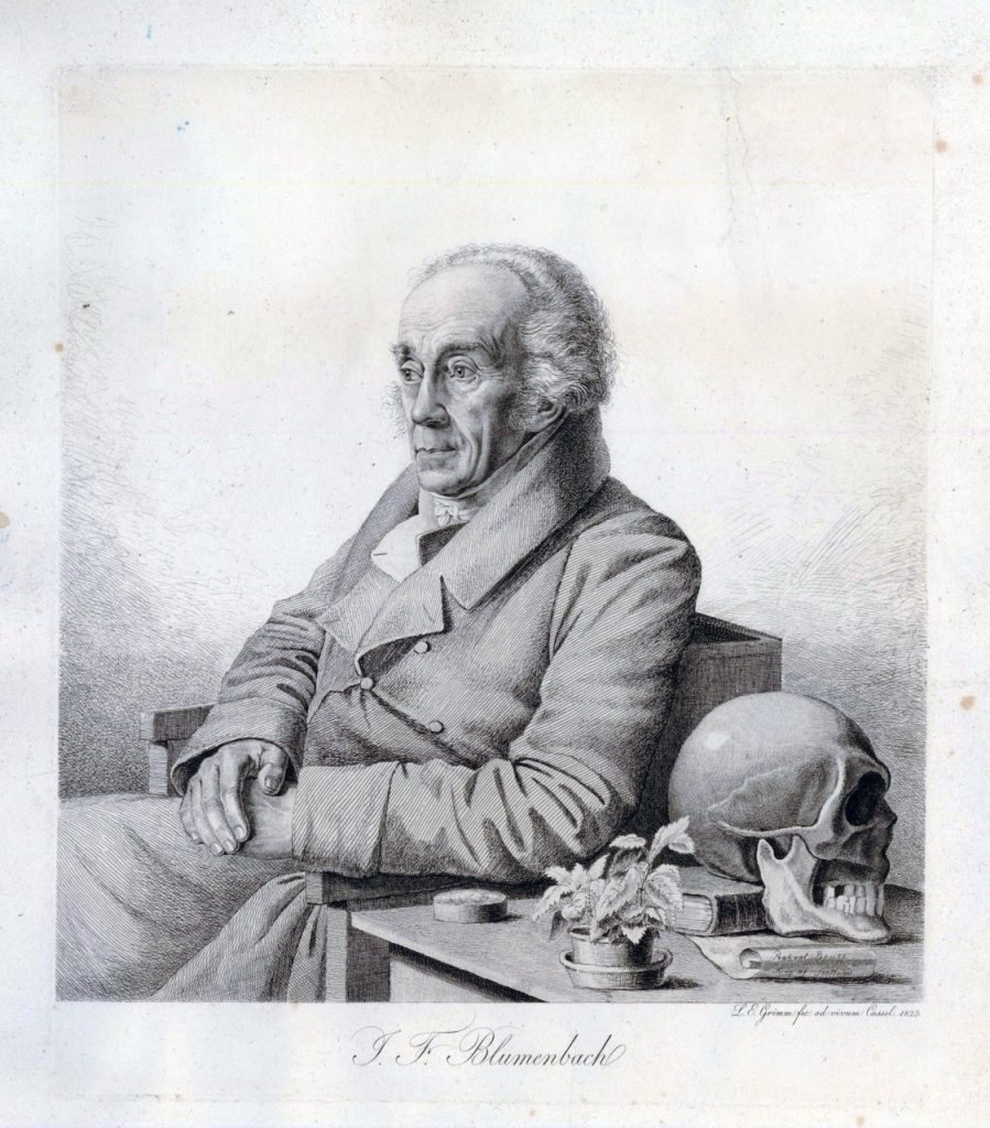 Johann Blumenbach (1752 1840) Large Johann Blumenbach (1752 1840) Large