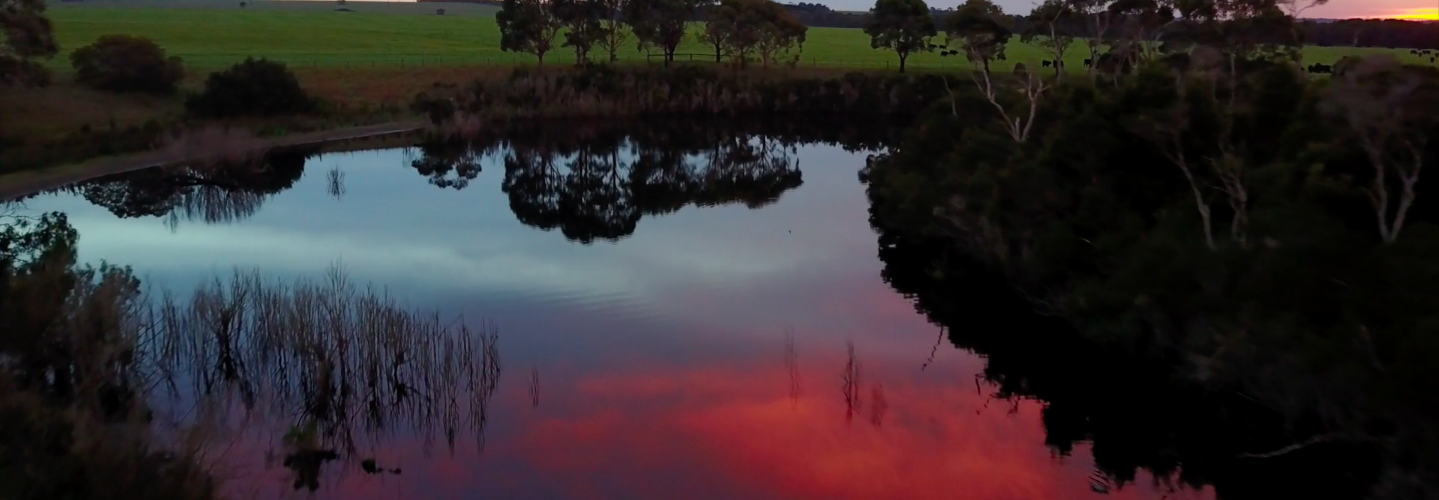 The Warrigal Creek Massacre