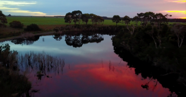 The Warrigal Creek Massacre