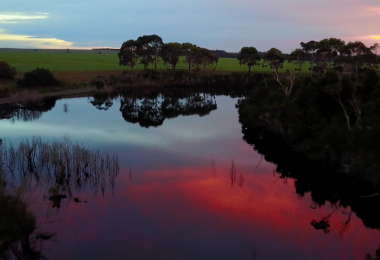 The Warrigal Creek Massacre