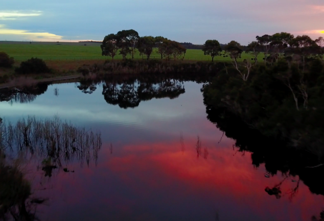 The Warrigal Creek Massacre