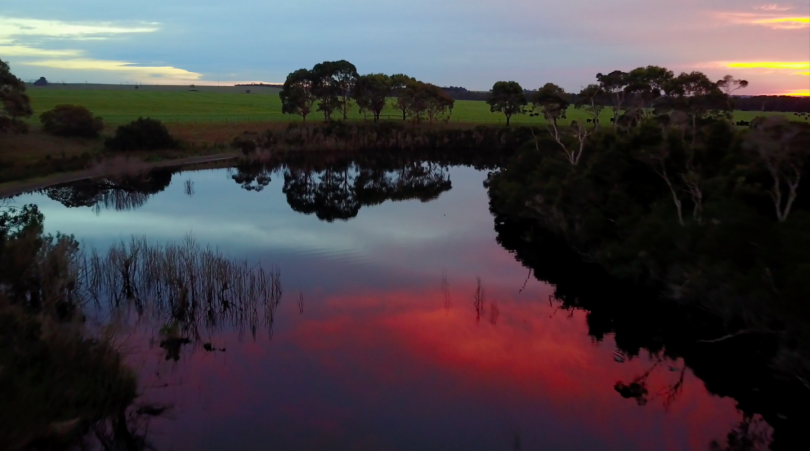 The Warrigal Creek Massacre
